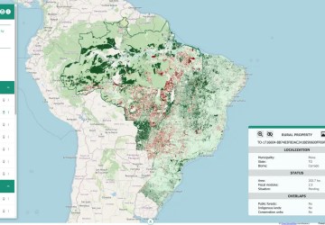 Brasil tem 95 milhões de hectares à espera de ações de restauração