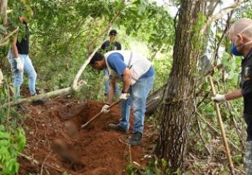 Corpo é encontrado em sítio com mãos e pés amarrados