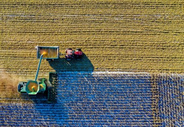 Fiagro Surpreende: Captação Dispara e Ultrapassa R$ 1 Bilhão!