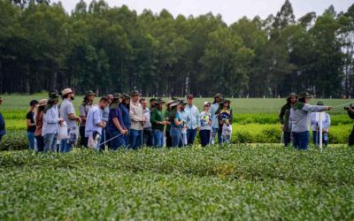 Centros de pesquisa da Aprosoja MT destacam alternativas de manejo para garantia de produtividade das culturas