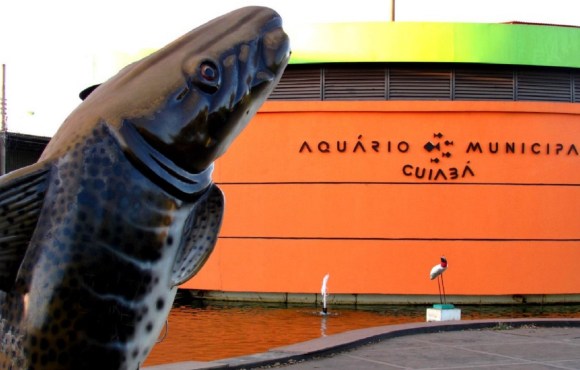 A entrada do Aquário Municipal seguirá gratuita pelos próximos quatro anos.