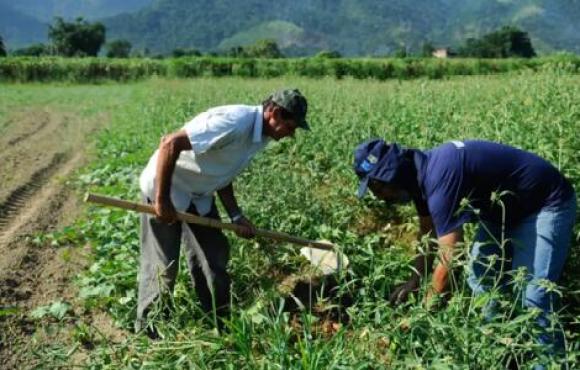 Agro apresenta perda de quase 30 mil vagas de trabalho em novembro